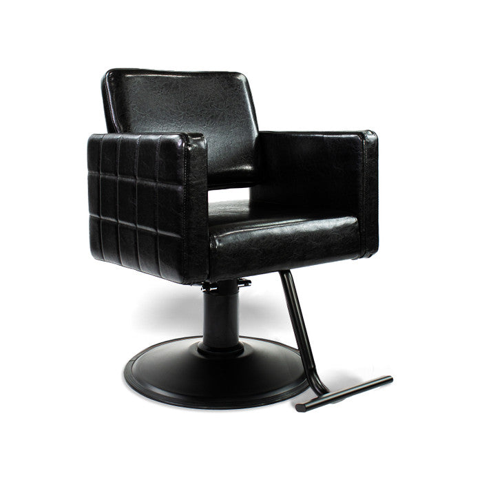 AYC Ayla Styling Chair W/ A13 Pump By Berkeley