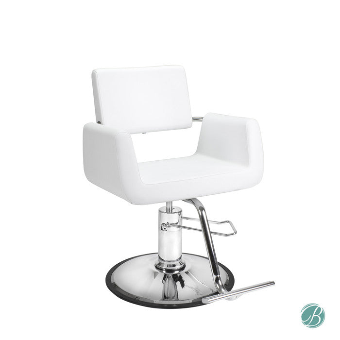 AYC Aron Modern Styling Chair By Berkeley