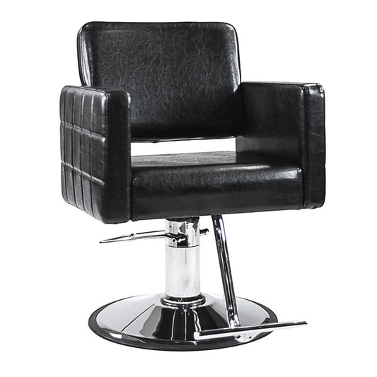 AYC Ayla Styling Chair W/ A13 Pump By Berkeley