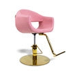 AYC Milla Styling Chair With A59 Gold Pump By Berkeley