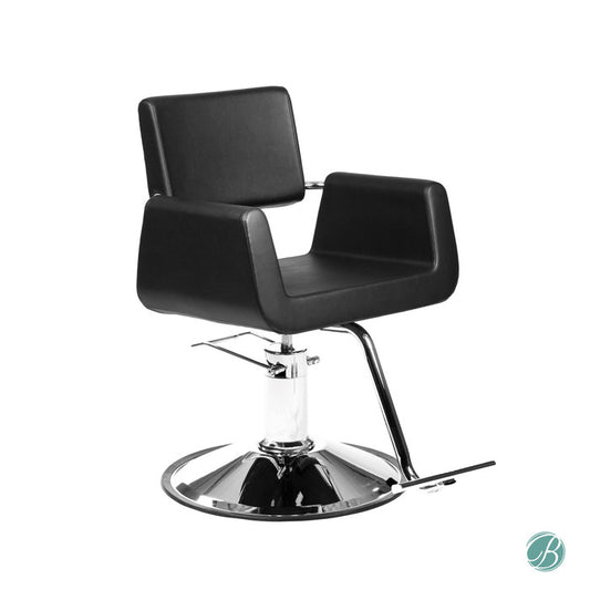 AYC Aron Modern Styling Chair By Berkeley